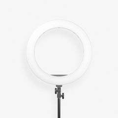 IVISII 19-Inch LED Ring Light R65C